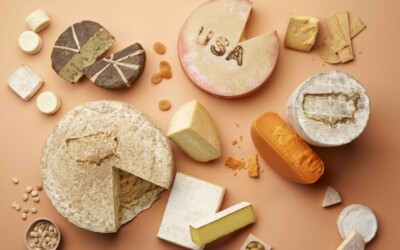 USA Cheese: American Innovation, Unbound by Tradition