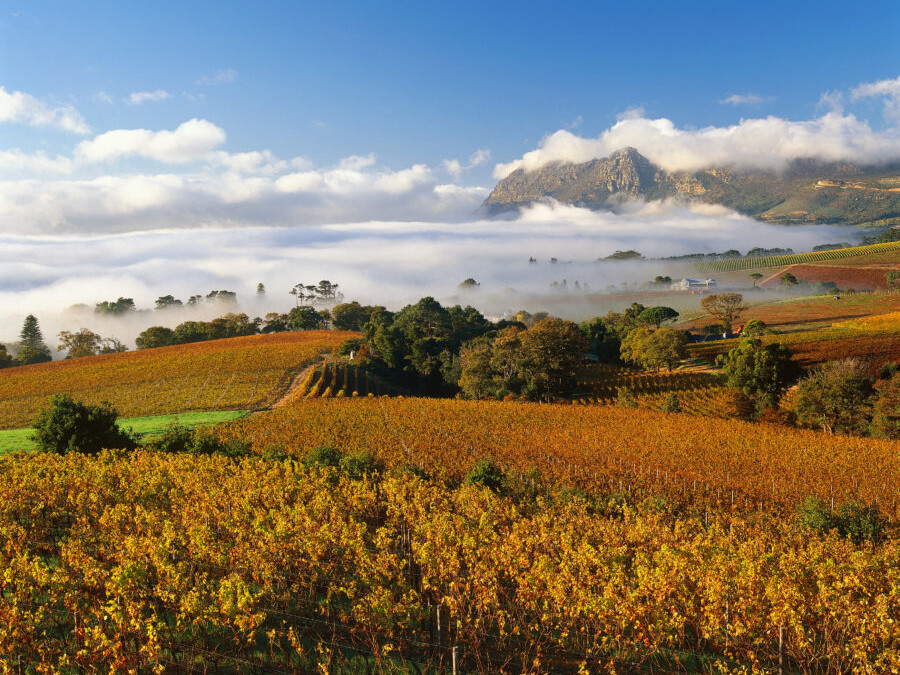 南非：植根360年的「新世界」酒都                                              South Africa: 360 Year Old “New World” wine capital